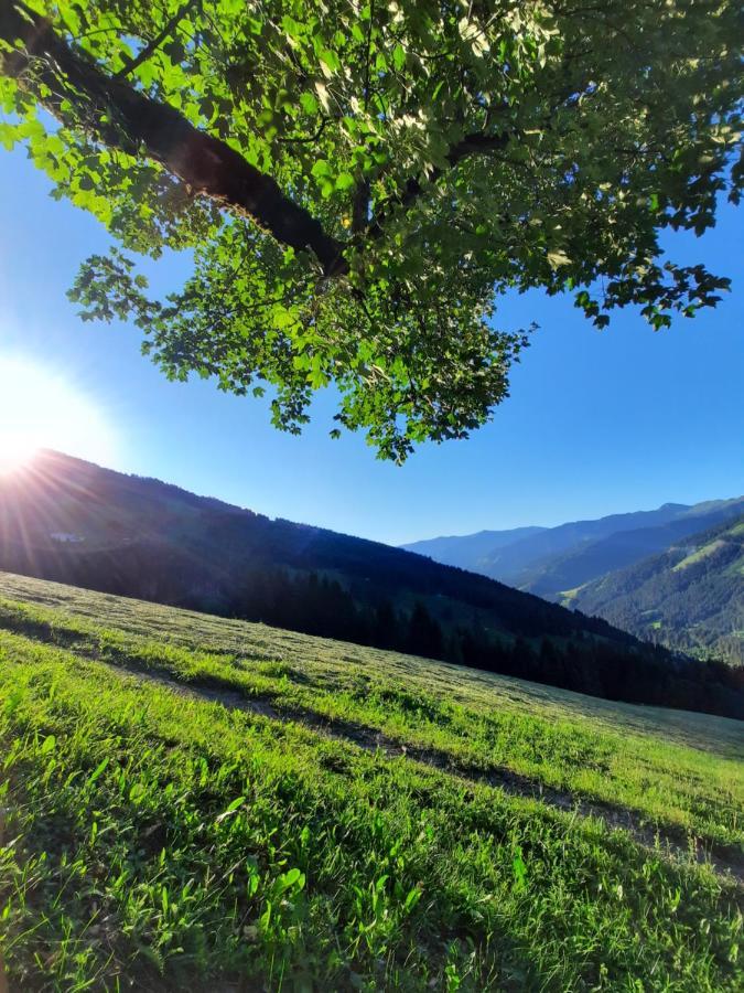 Pension Aberger Saalbach-Hinterglemm Exteriör bild